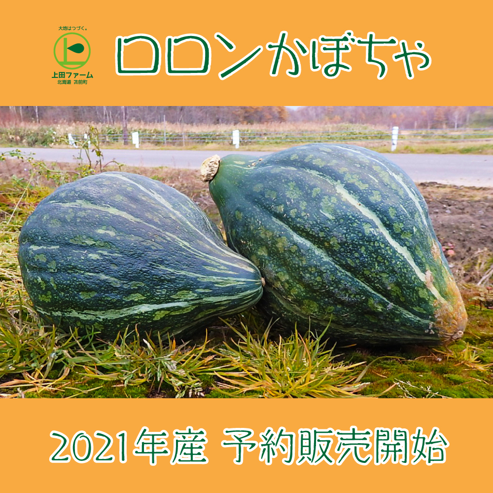 最終値下げ かぼちゃ ロロン Ta19qxqb 野菜 Www Ecopansrl It